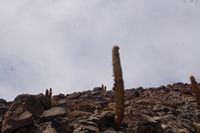 
DSC00311